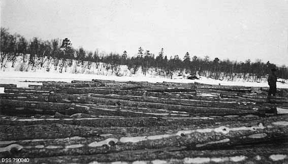 Ubarket tømmer på åpen, snødekt isflate i Pasvikdalføret i Finnmark vinteren 1913.  Tømmeret var antakelig lagt på denne flata med tanke på at det skulle fløtes herfra påfølgende vårsesong.  I 1913-sesongen fikk den statlige skogforvaltningen avvirket 12 213 tømmerstokker langs Lille Malbekken, mot Satmekelva.  I tillegg ble det avvirket 700 meterfavner tørrfuru i dette dalføret, som ble solgt som ved.  Fløtingsarbeidet, som skulle bidra til at tømmeret kom til Kirkenes, ble bortsatt til et akkordlag for 8 000 kroner.