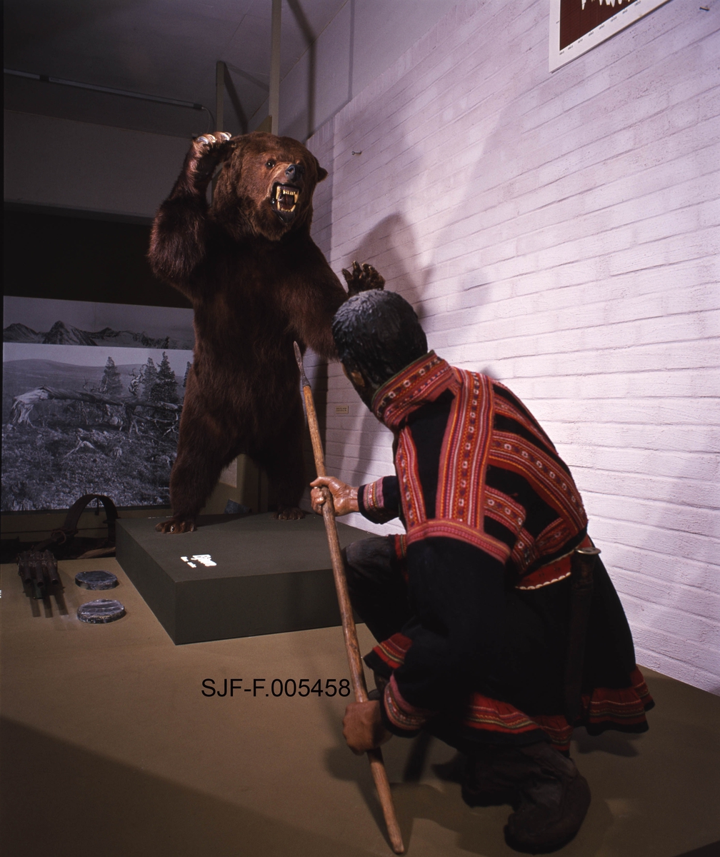 Jaktscene i Norsk Skogbruksmuseums jaktutstilling, som ble åpnet i 1972.  Fotografiet viser utstillingen slik den så ut i 1983.  Hovedmotivet her er en montasje som viser bjørnejakt med spyd.  Jegeren, en lett framoverbøyd mannsfigur, står med et spyd i hendene.  Han har støtt den bakre enden av spydskaftet mot underlaget og holder jernspissen skrått oppover.  Foran ham står en brunbjørn på bakbeina med framlabbene hevet til slag og glefsende kjeft.  Det man forsøker å illustrere er en jaktmetode der jegeren forutsatte at bjørnen ville angripe ved å kaste seg mot ham, og dermed få spydspissen i brystet.  I og med at bakenden av skaftet støtte mot bakken, trengte ikke jegeren være spesielt sterk, men rask og smidig, slik at han til enhver tid holdt spydspissen i den retningen bjørnen angrep fra.  Mannen er i dette tilfellet kledd i samisk kufte i blått ullstoff, pyntet med rød- og gulfargete bånd.  På beina hadde han skinnbukser.  Det samiske antrekket antyder at dette er en jaktform som er dokumentert i samiske miljøer.  Mens bjørnen og mannsfiguren med samedrakt framstår som naturalistiske, er omgivelsene ellers er ikke formet med ambisjoner om å framstå som natur.  Jegeren befinner seg på et podium lagd av sponplater, bjørnen står på et noe mindre podium oppå dette igjen.  Foran bjørnen ligger et par sportegn i gips, og foran jegeren finner vi et sjølskudd med tre munnladerløp.

Jens Rathke (1769-1885), som seinere ble den første professoren i zoologi ved det vi i dag kjenner som Universitetet i Oslo, var i årene 1800-1802 periodevis på studiereiser i Nord-Norge. Fra Malangen i Troms har han notert følgende:

«Bjørnen gjør undertiden Skade paa Qvæget i disse Egne. Den angribes deels med Skydegevær, men oftest med et Slags Landse, hvis Skaft er af Birk, 3 Alen langt, med fodlang firesidet Jernspidse foran; man sætter sig almindelig paa det ene Knæ med Landsen støttet mod Jorden, saaledes at Bjørnen, idet han angriber, jager sig Landsen i Brystet. Man havde og anlagt en Bjørnebaas eller et Slags Fælde med Agn og Stok i Enden af en Dal, der overalt var bevoxet med Tortn (Sonchus alp.), Bjørnens kjære Føde. Ved disse Midler var det nogenledes lykkes denne Familie i saa ensom Egn at forebygge Skade af dette Rovdyr.»
