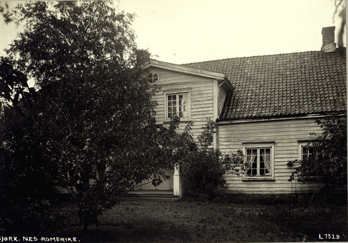 Bjørk, Nes, Øvre Romerike, Akershus. Stort lyst våningshus sett mot hagedør og gjemt bak trær.
