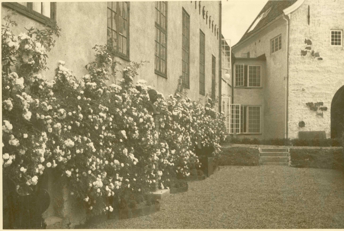 Bybygning med rosehekk. Norsk Folkemuseum, Oslo 1935.