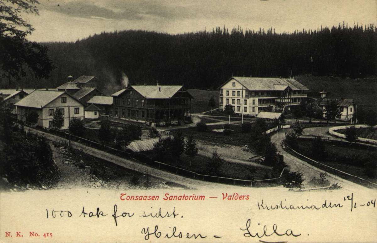 Postkort. Tonsåsen Sanatorium i Valdres. Stemplett 13.01.1904