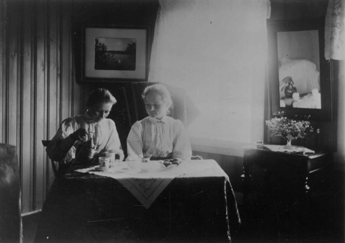 Søstrene Elise og Annette Lilleeng, Kirkenes, Sør-Varanger, Finnmark, fotografert hos ekteparet dr. Andreas B. og Ellisif Wessel i 1890-årene.