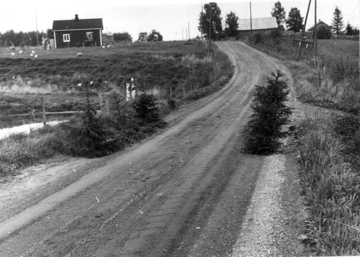 Berg, Nes, Akershus. Veien smykket til begravelse. Storgårdsundersøkelser ved Engelstad 1953.
