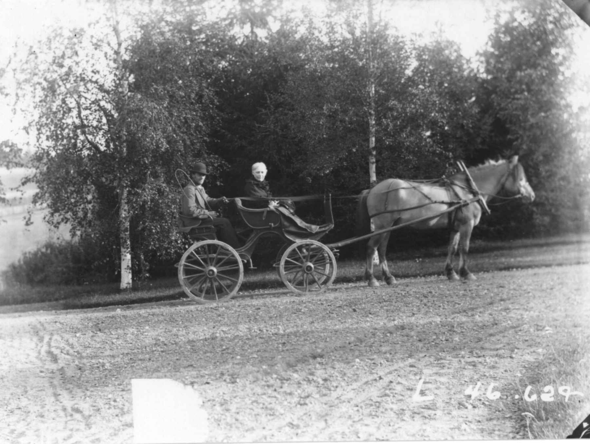 Hestekjøretøy, phaeton (trille) med to ukjente personer. Ant. Ullensaker.
Fra serie fotografert av kammerherre Fredrik Emil Faye (1844-1903), Dal gård, Ullensaker.