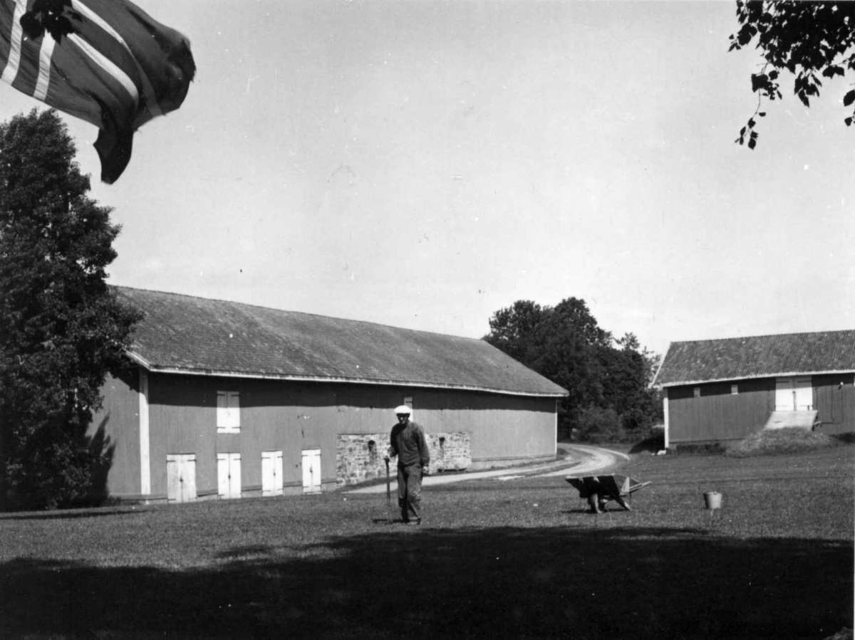 Haugrim, Aurskog, Akershus 1954. Uthus, gårdsplass og arbeidskar med trillebår.
Fra dr. Eivind S. Engelstads storgårdsundersøkelser 1954.