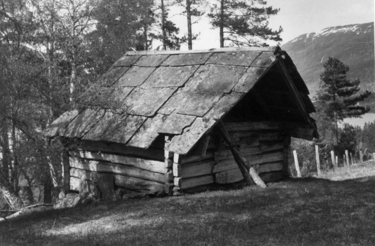 Dugstad Voss Hordaland Norsk Folkemuseum Digitaltmuseum