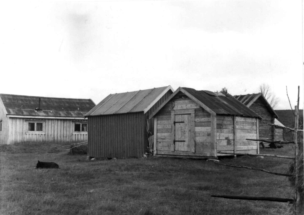Boplassen til Johan Mikkelsen Kemi og Nils Nilsen Eira, med bolig og stabbur. Masi 1956. 
