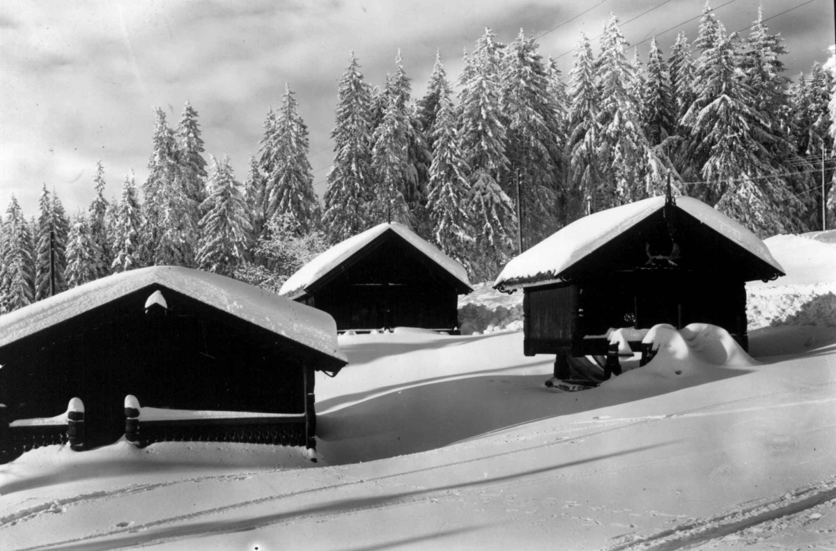 Tre små hus i vinterlandskap. Skog i bakgrunnen. Thomas Heftyes lille friluftsmuseum på Frognerseteren i Oslo.