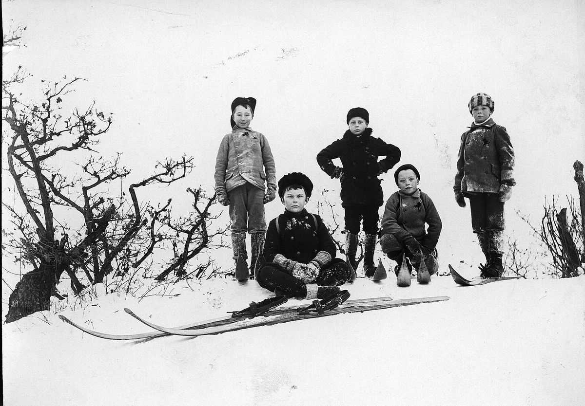 Gutter på ski i vinterklær, krattskog, ved Oslo, 1897.
Serie tatt av Robert Collett (1842-1913), amatørfotograf og professor i zoologi. 
