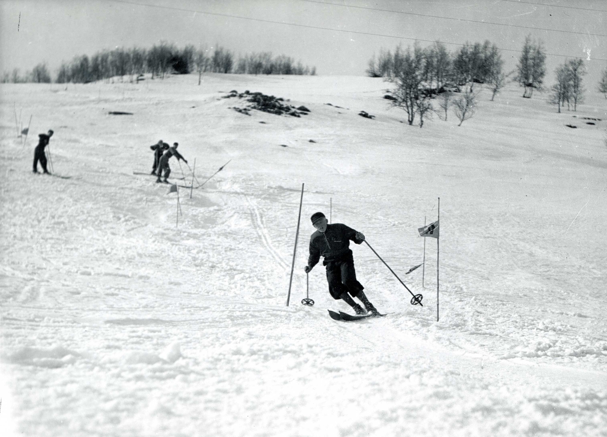 Fire skiløpere i slalåmbakke.