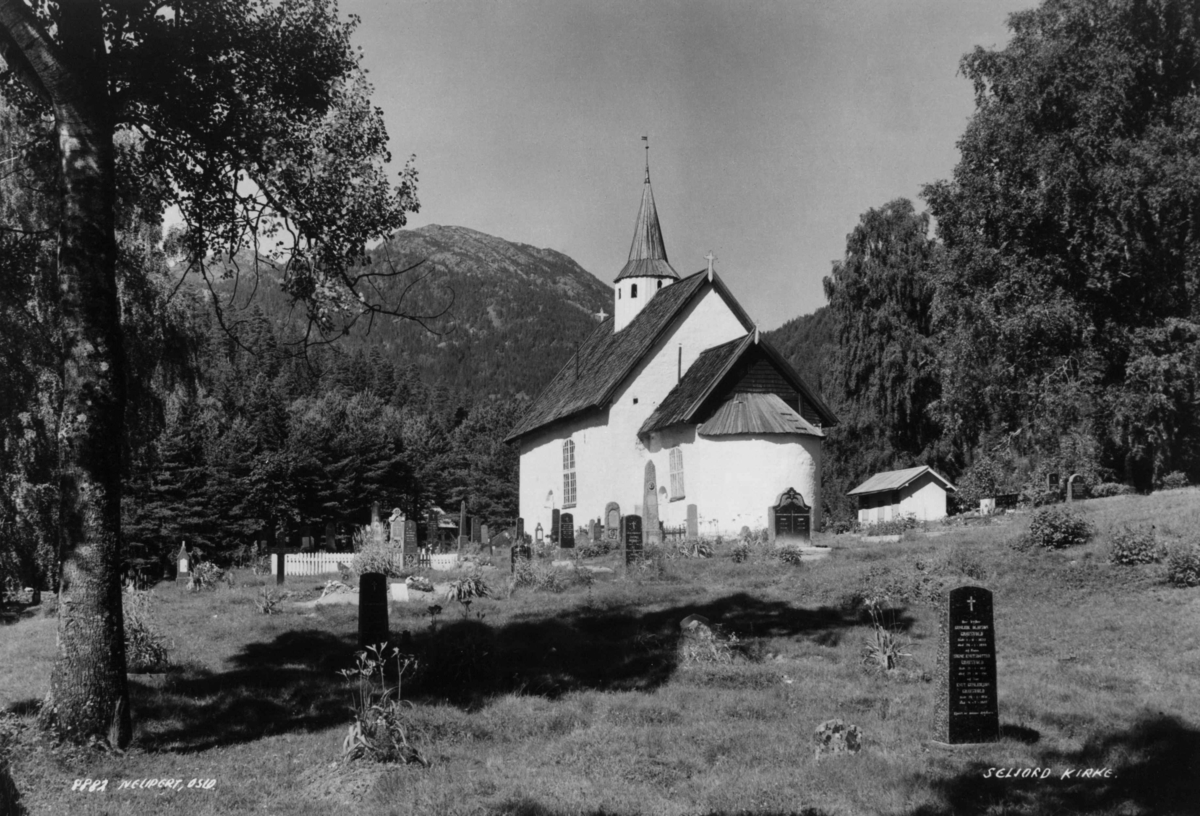 Seljord kirke 171, Seljord, Telemark. Kirkegård
med gravsteiner. Omgitt av skog.  Fjell i bakgrunnen.