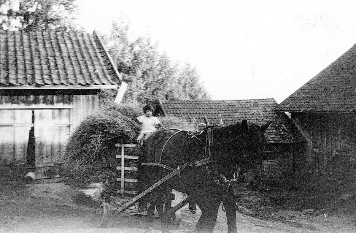 Inger Fougli i høyet. Sommerferie med høyonn på Framstad Gårdspensjonat på Hadeland, Oppland, 6.-27.juli 1934.