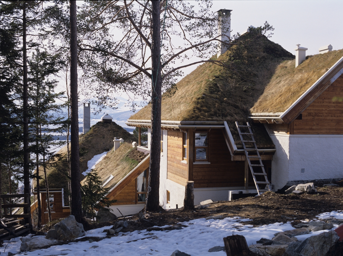 Tvillinghus i Molde, i bratt terreng. Illustrasjonsbilde fra Nye Bonytt 1989.