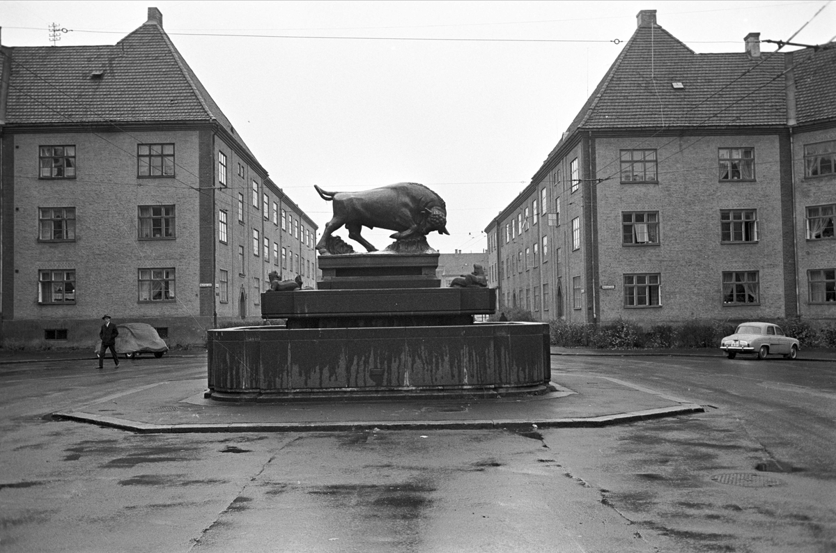 Serie. Skulpturer, Oslo. Den ene er oksefontenen på Hegermans plass, Torshov. 
