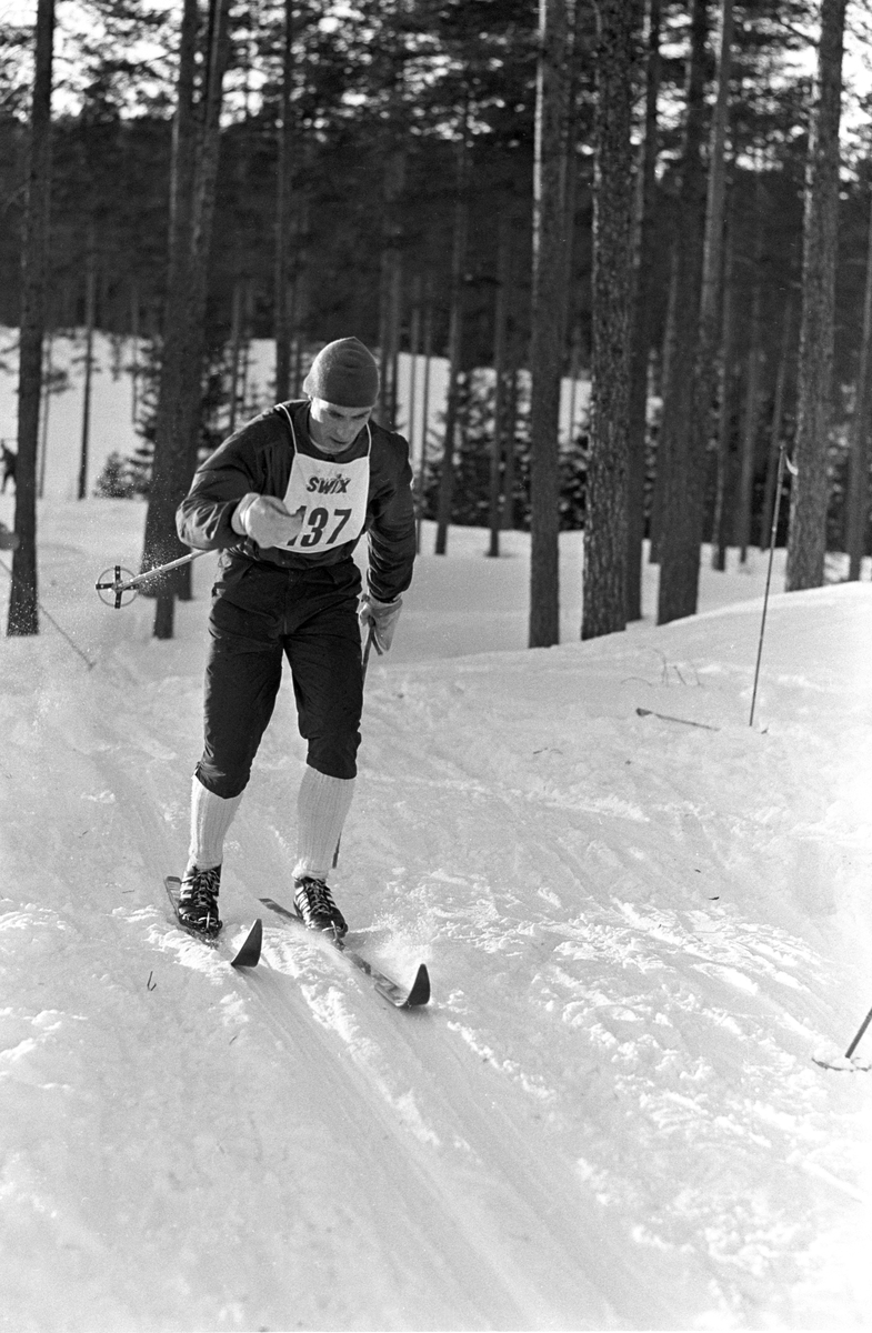 Skiløper med startnummer 137 i sporet under NM i langrenn for juniorer på Eidsvoll 1963.
