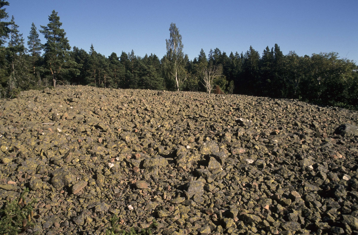 Naturreservatet Kapplasse med klapperstensfält och fornstrandvallar, Marskär, Sikhjälma, Hållnäs socken, Uppsala, 2000