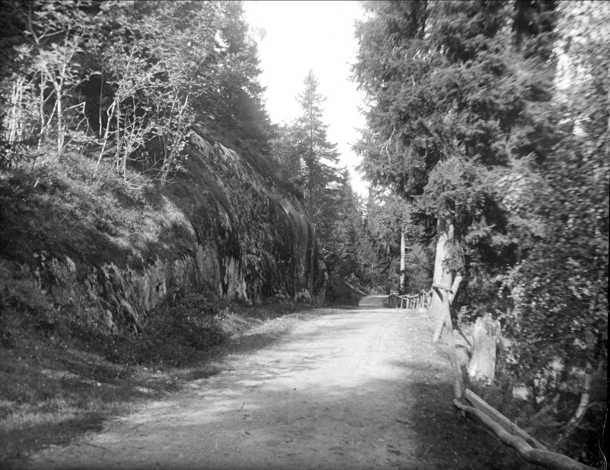 Väg omgiven av stenblock och skog i Skällnora, Fresta socken, Uppland i september 1925