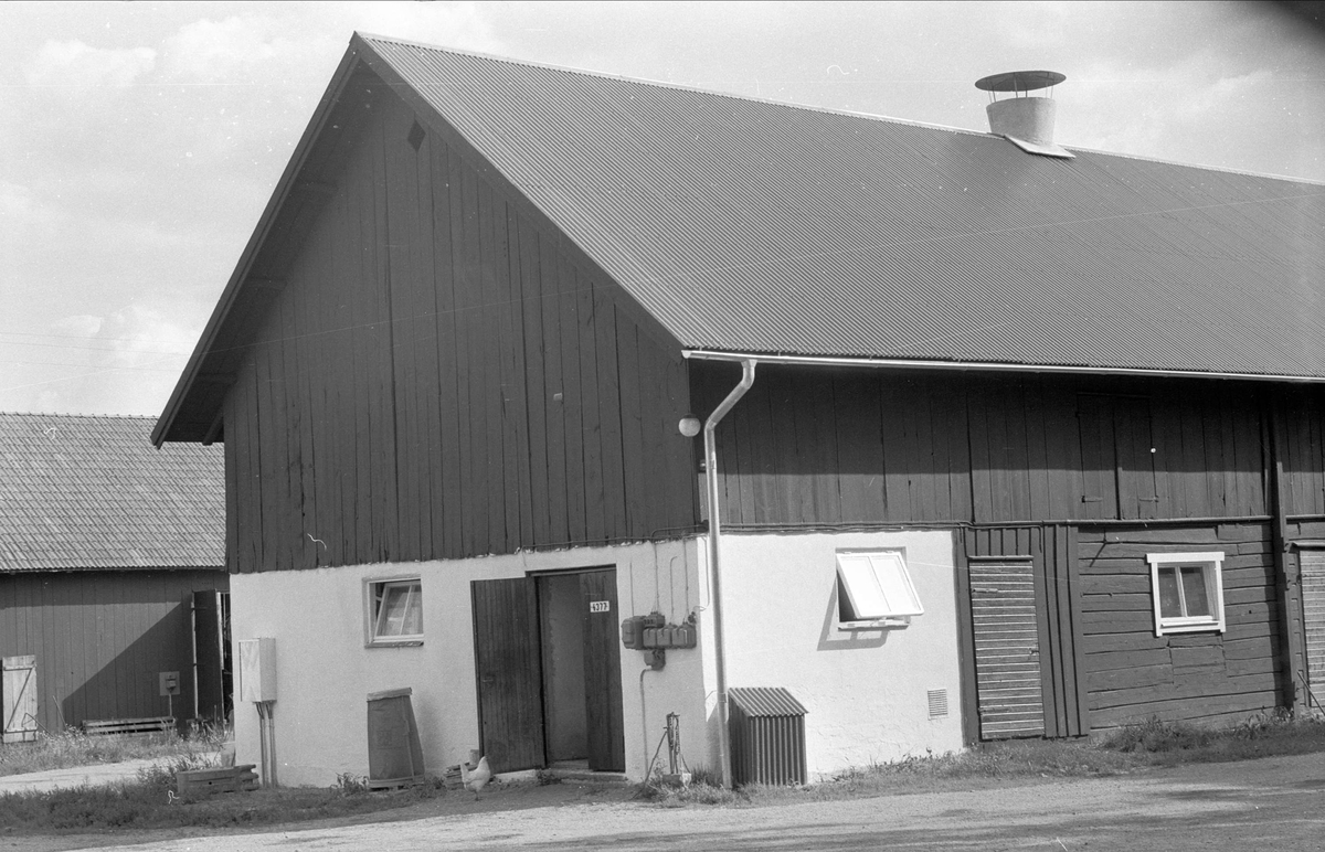 Ladugård och tillbyggnad av lider, Svista 3:1, Yttergärdet, Bälinge socken, Uppland 1976