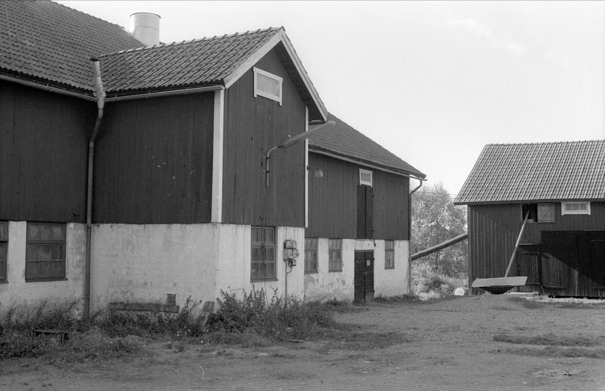 Ladugård, Bälinge prästgård, Bälinge socken, Uppland 1983