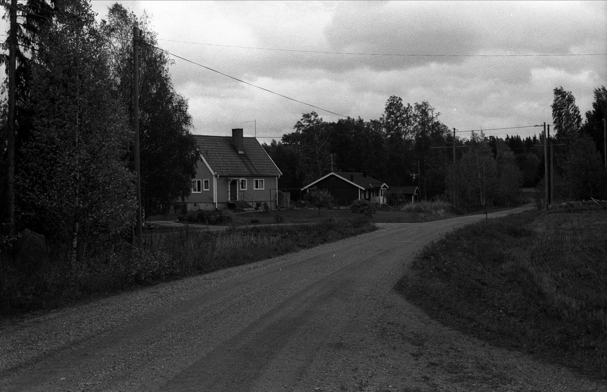 Vy över Hammarby, Björklinge socken, Uppland