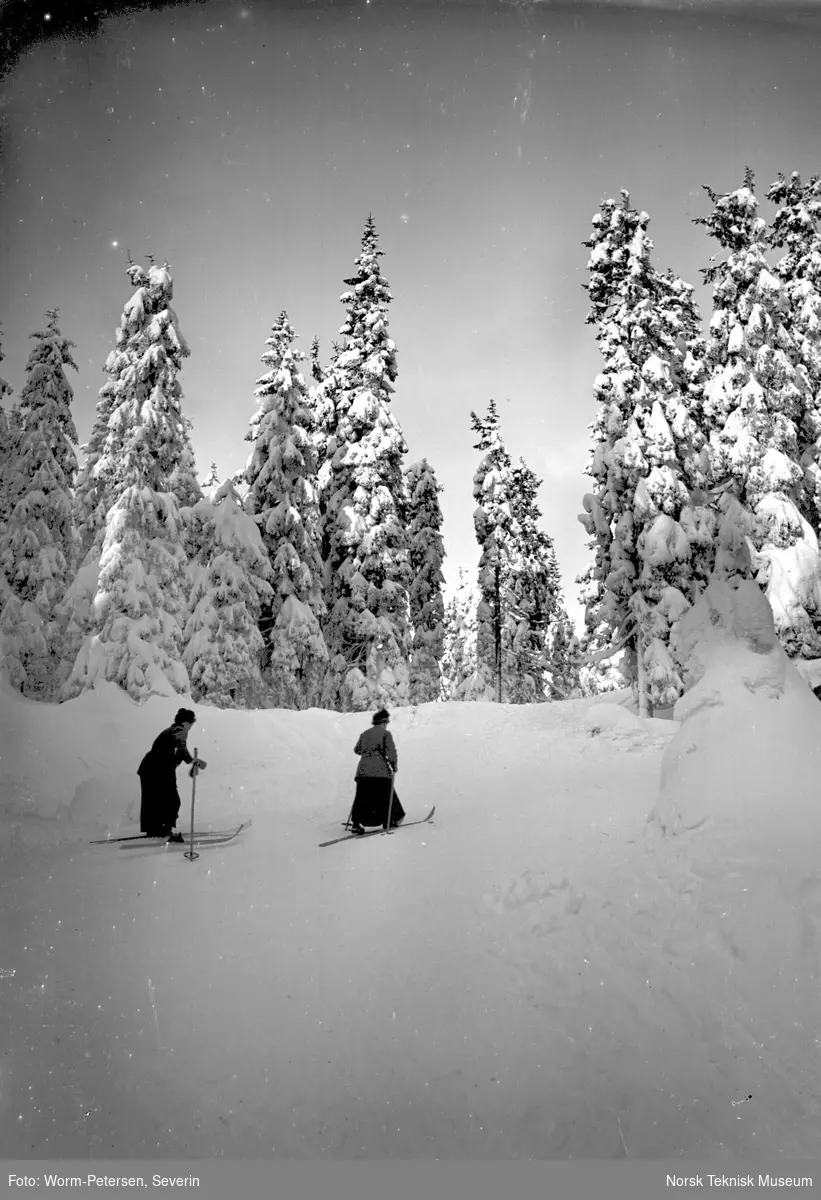 Vinterbilde, skitur i skogen