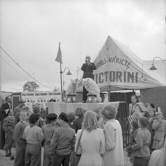 Cirkus Victorini maj 1947