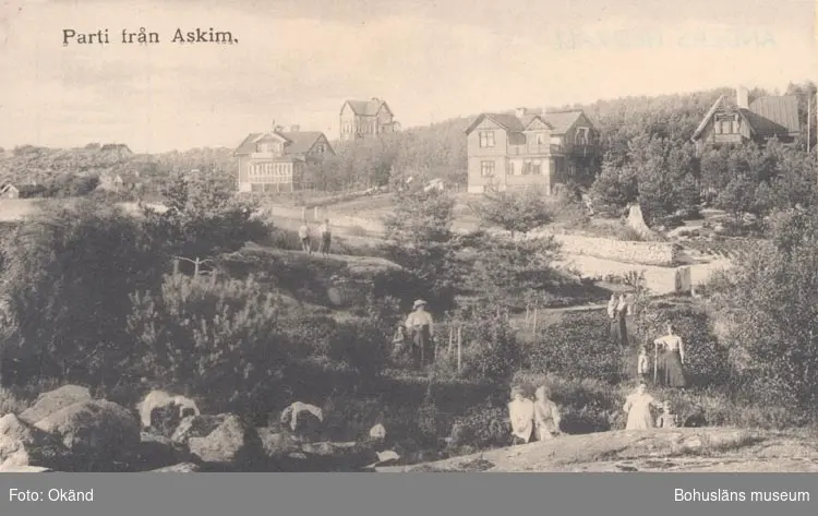 Tryckt text på kortet: "Parti från Askim".