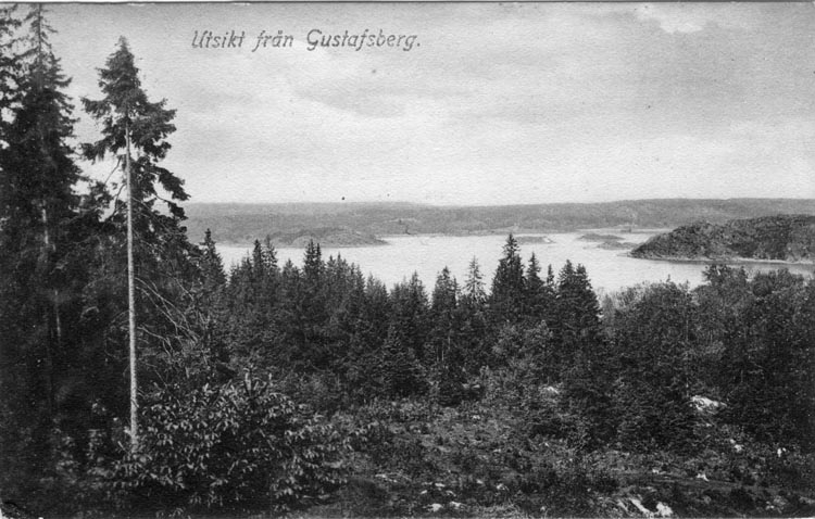 Tryckt text på vykortets framsida: "Utsikt från Gustafsberg."
