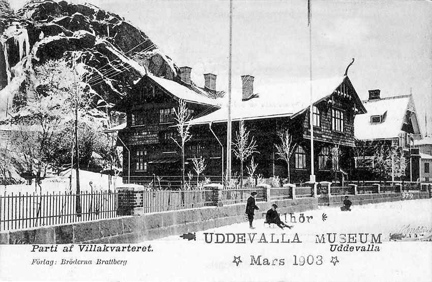 Tryckt text på vykortets framsida: "Uddevalla. Willagatan".


