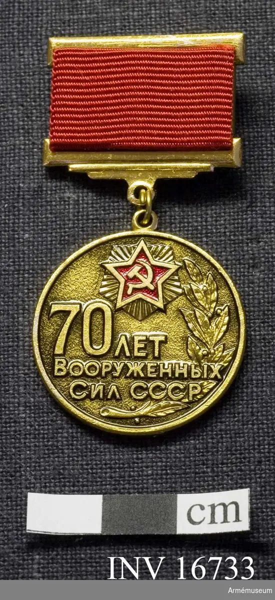 Ett guldbesprutat märke som hänger i ett medaljband klätt med ett rött ripsband. Har broschfästning på frånsidan. Åtsidan är försedd med rysk text och hammaren och skäran inom en stjärna med röd bottten. Medaljen ligger i en röd ask klädd med rött klot och på insidan är röd sammetsklädsel.

Samhörande nr är AM.16715-16732