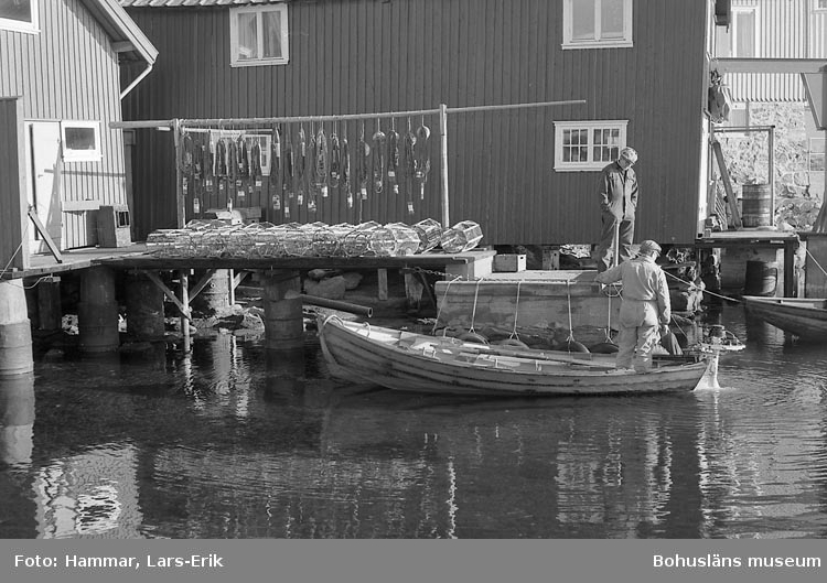 Hummerfiskare i Hälleviksstrand 1978