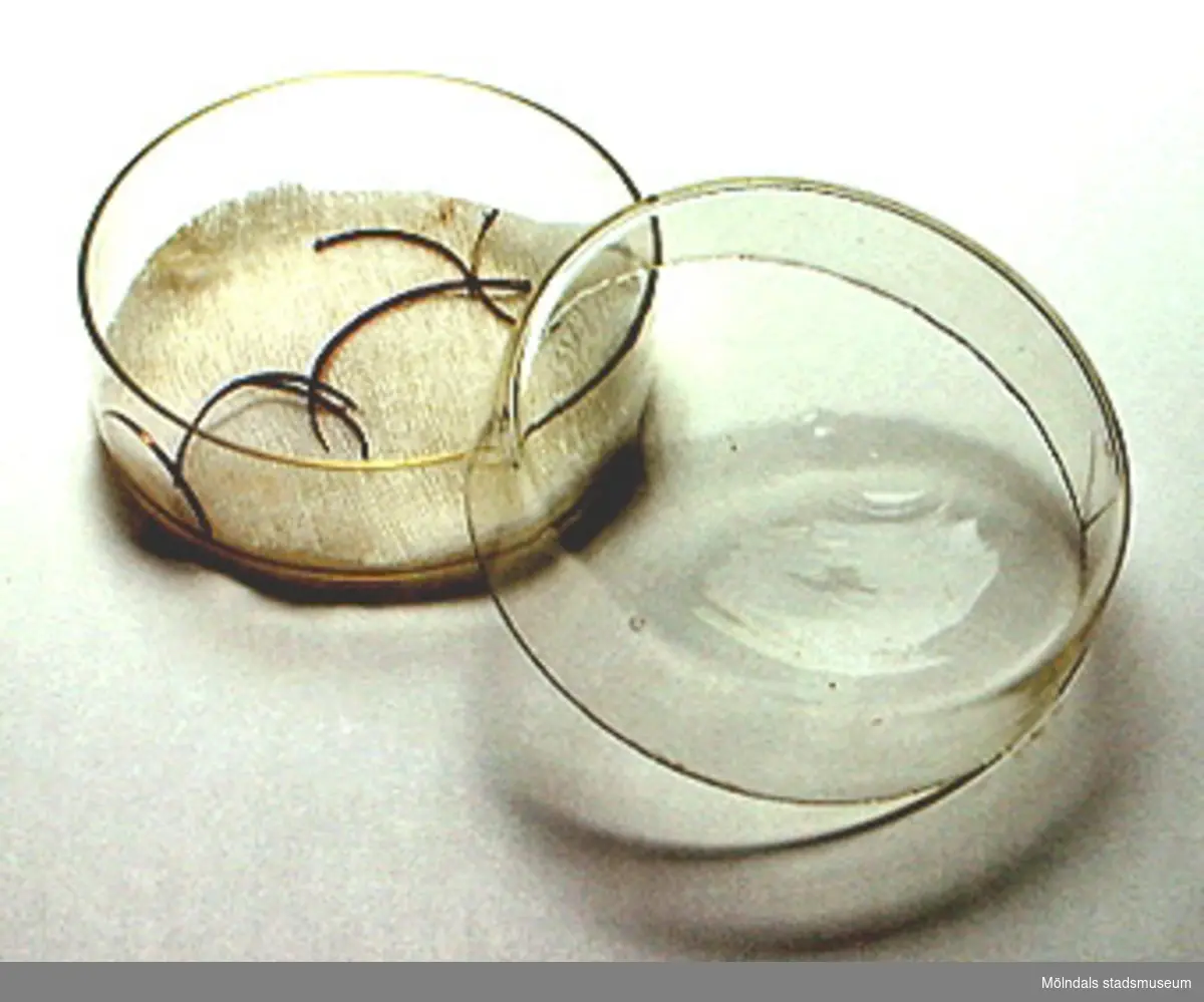 Sju st. nålar för att sammanfoga ett sår. Förvaras i an ask av glas. 