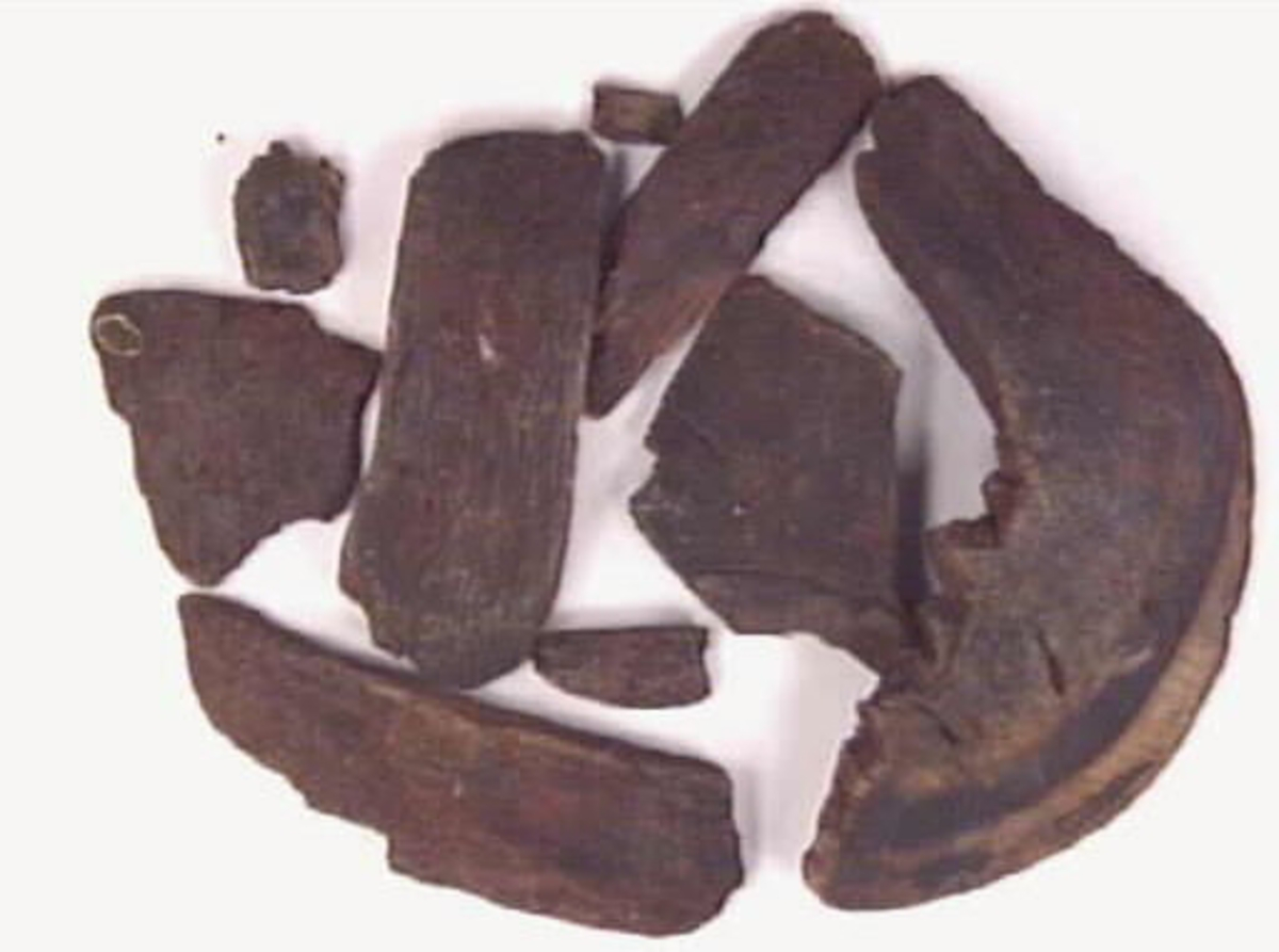 Nio delar av en svarvad träskål.  Ett av fragmenten kan ha varit utsatt för eld.