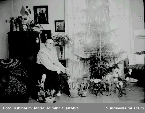 Fotograf Maria Kihlbaum vid julgranen hemma på Nygatan 41, Södermalm. Kan ha varit  på annandagen då Maria fyllde år.