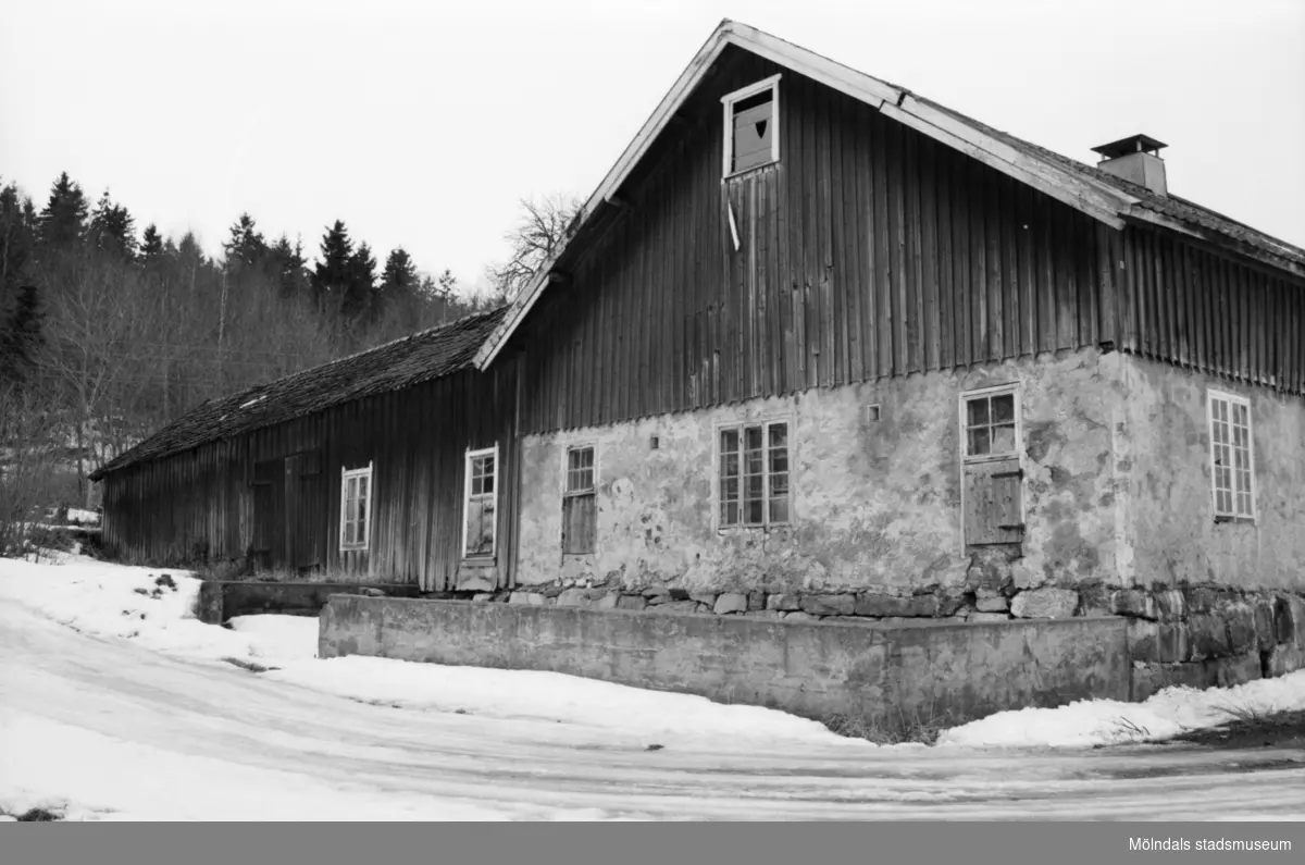 Ladugård och boningshus vid Per-Eriks gård "Paris" i Kärra, 1986.