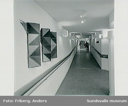 Anita Wohléns offentliga utsmyckning "Jord, luft och tidsrymd", akryl på trästomme, Alnö servicehus.