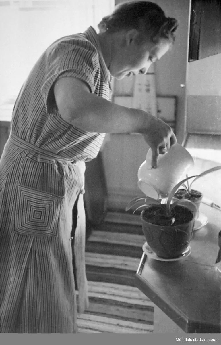 En kvinna vattnar krukväxter, 1920-tal i Kållered.