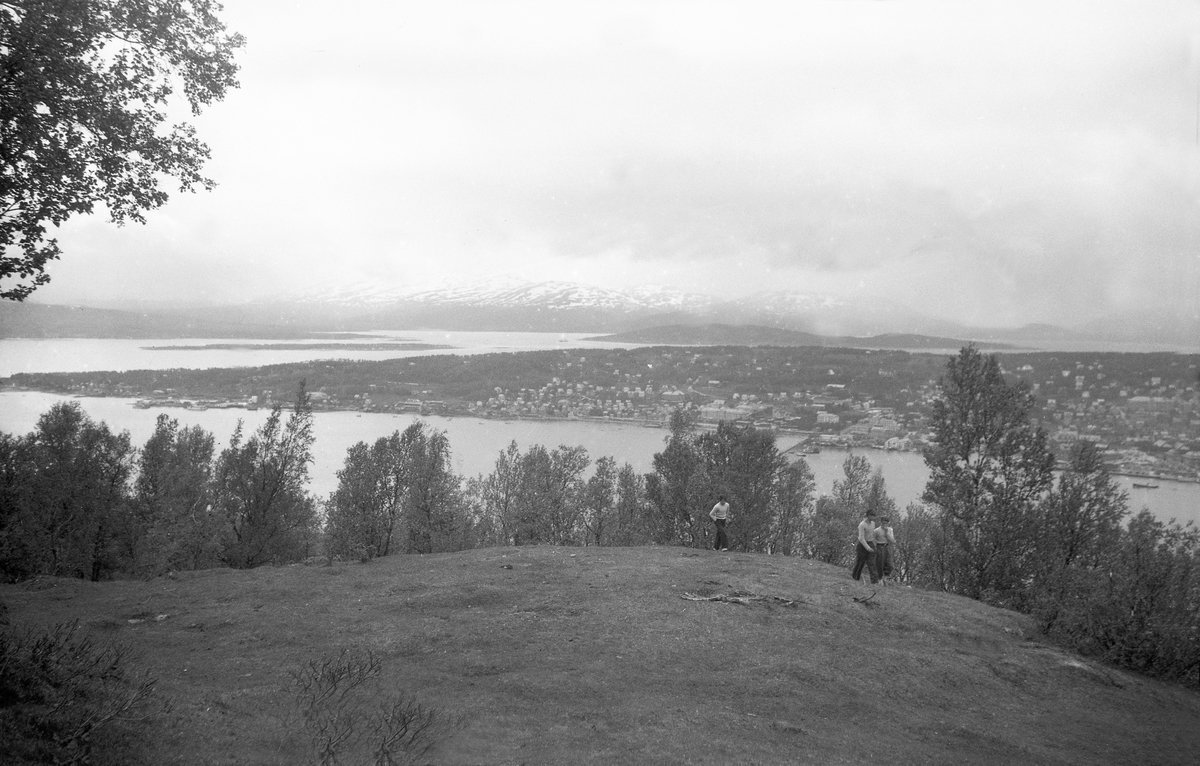 Fra Fløyfjellet med utsikt mot Tromsøsundet og Tromsø. Fotografert 1949.