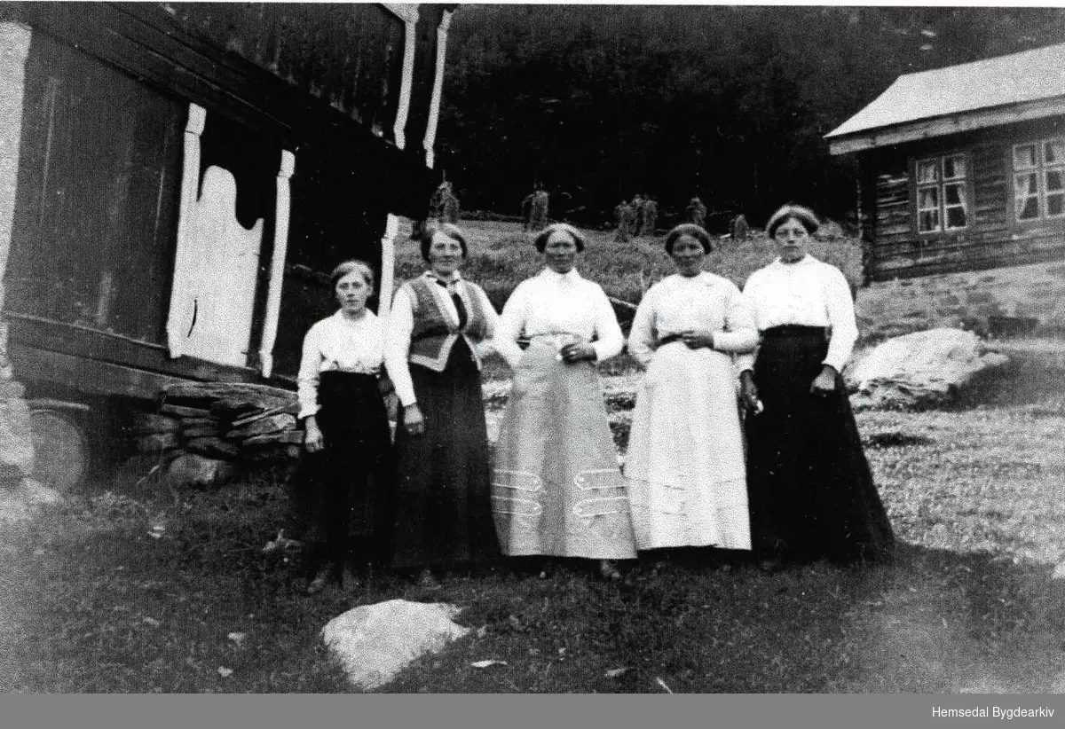 Frå venstre: Marie
 Bodding, Dokk 1886; Kari Fekene,fødd 1895; Ingebjørg Møllerplass, fødd 1878; Guri Holde, fødd Vøllo 1887; Karoline Holde, fødd Vøllo 1878