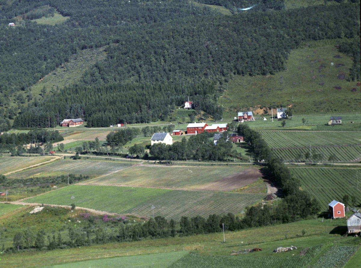 Flyfoto av Møkkeland.