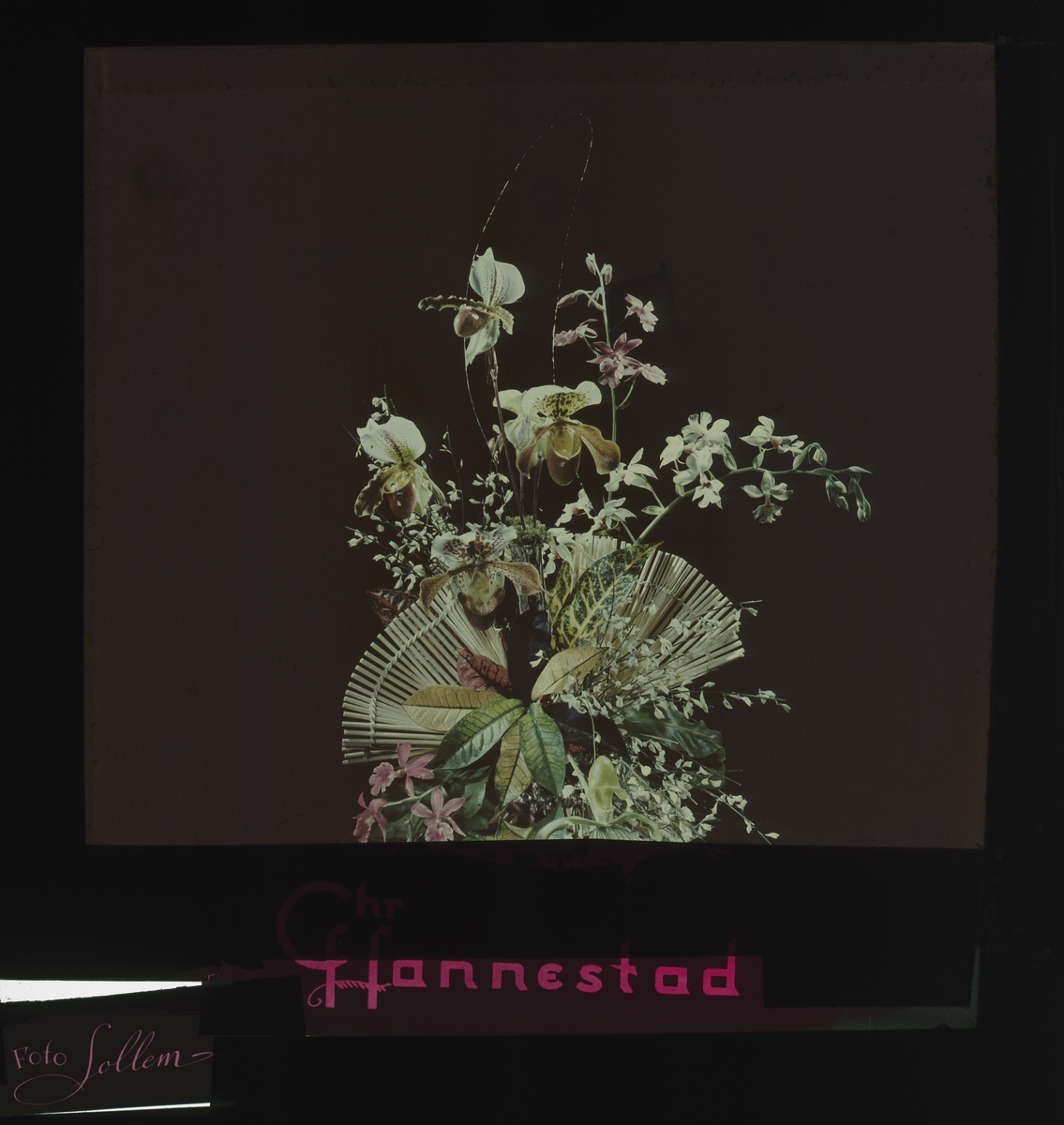 Kinoreklame fra 1950-1960-årene med Chr. Hannestad sin logo og blomsteroppsats med orkideer.