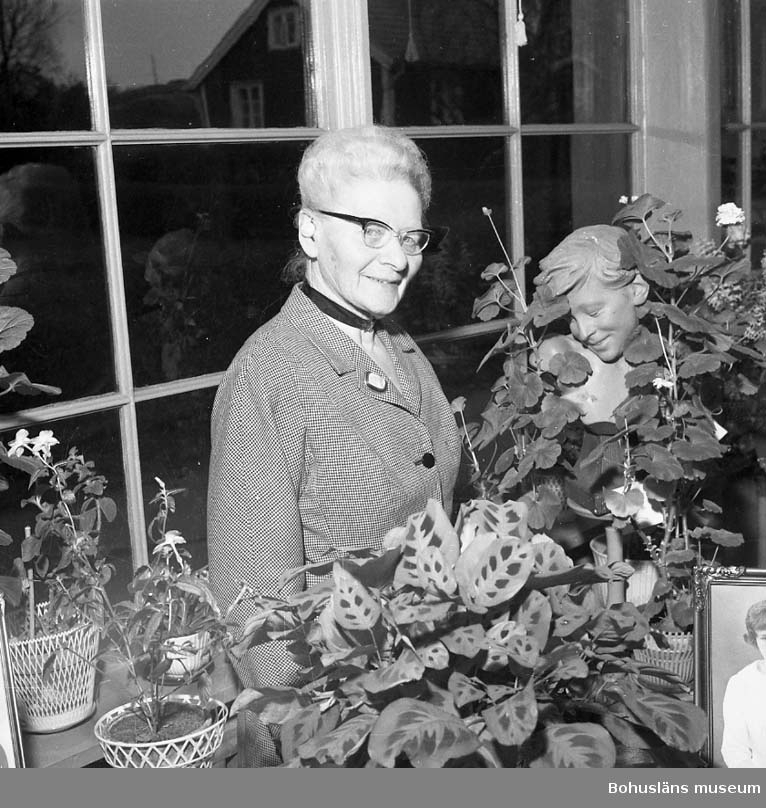 Fotograf Ingeborg Enander i sin dagljusatelje, Stenungsund, år 1960