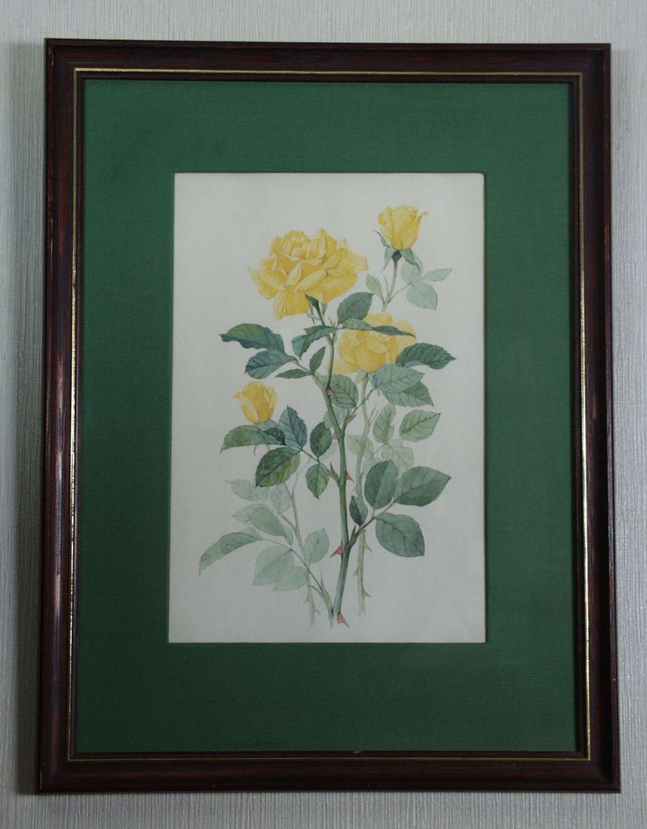 Trykk av gul rose med stofftrukket grønn passepartout og brun ramme.