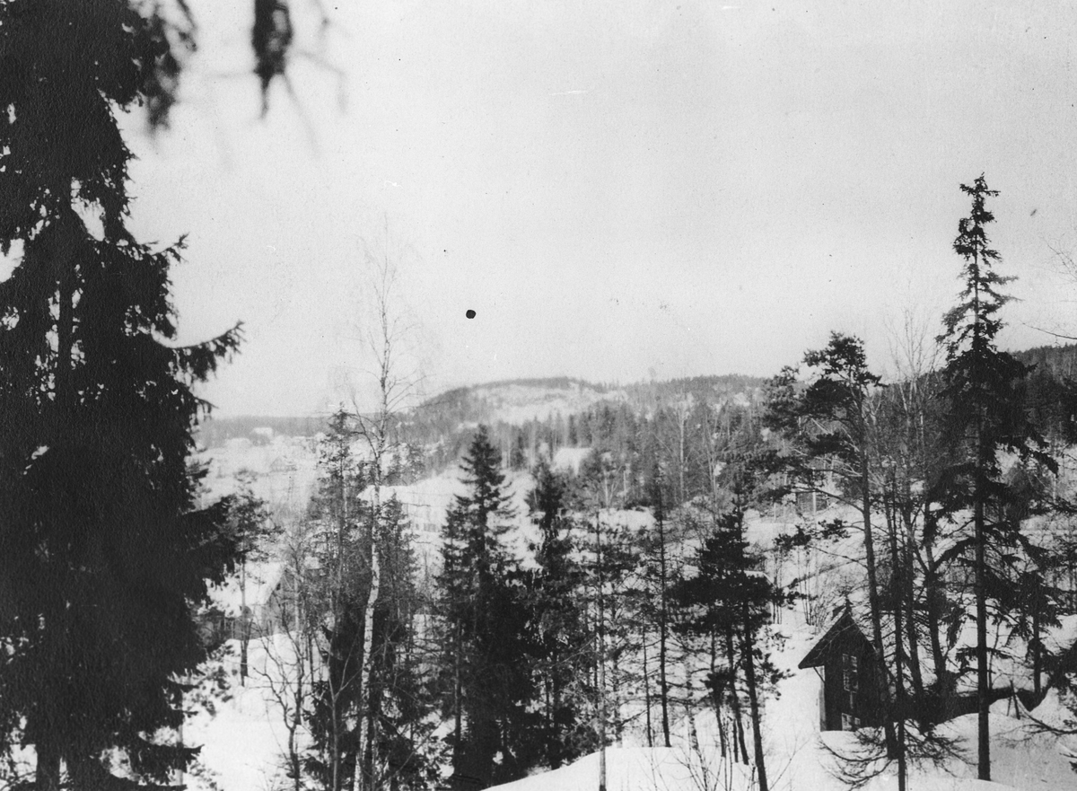 Utsikt fra "Solheim" i Bekkelivn.