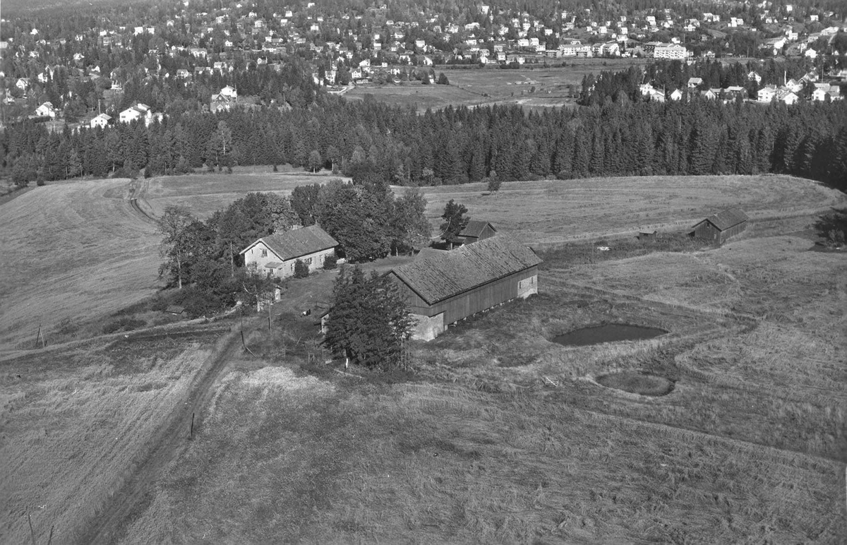 Flyfoto av Torshov gård med gårdsdam.  Fjellhamar i bakgrunnen.