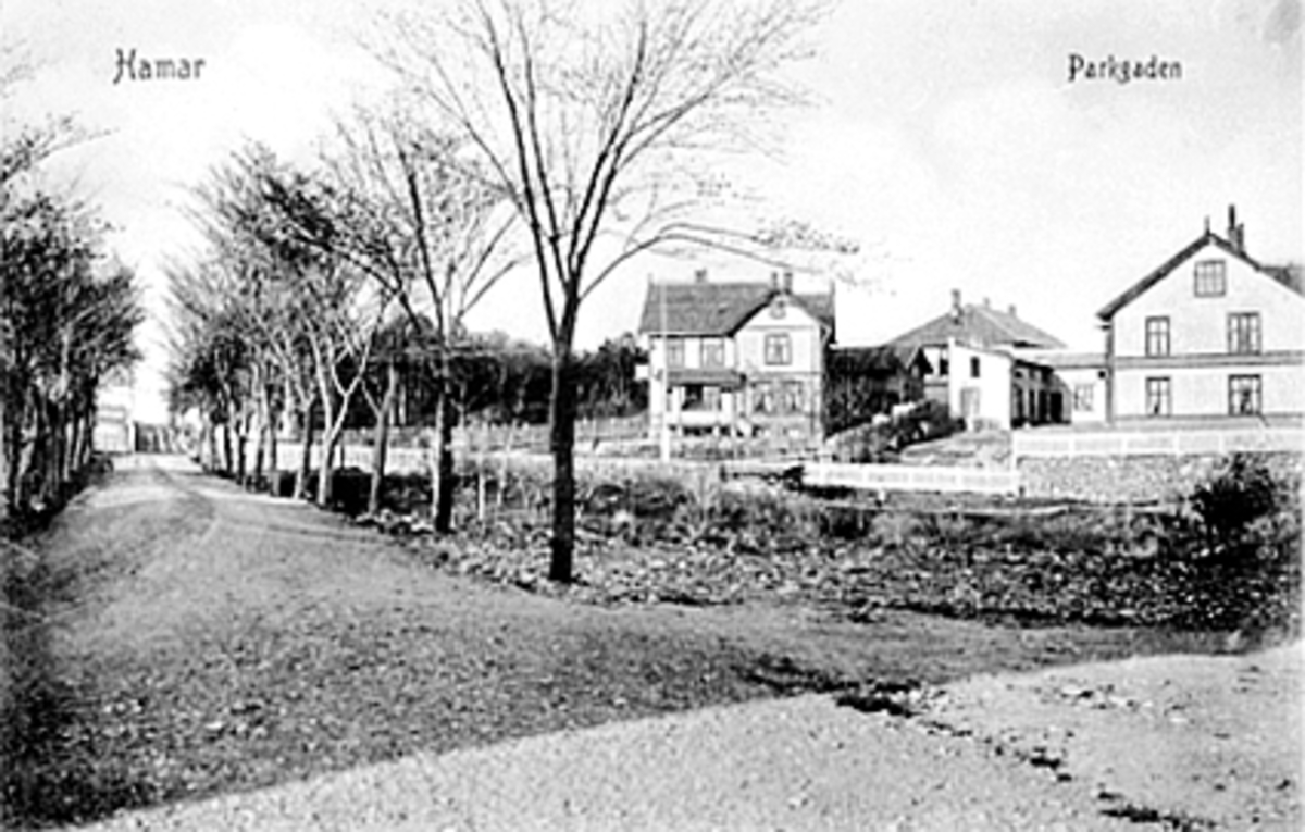 Postkort, Hamar, til høyre St. Olavs gate 60, huset til venstre: Parkgata 51 var tidligere Sverdrups gate 23, bolig oppført for lærer- skoleinspektør: Elias Trætteberg (1864-1951) tegnet av Hamargutten Leif Jenssen (1879-) i 1901, "Trættebergvillaen", Parkgata opparbeidet i 1895 inn til Hamar Park med beplantning,