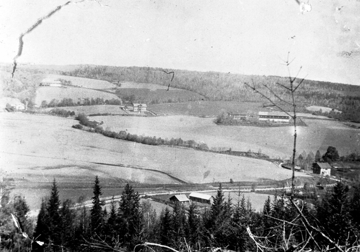 Utsikt over Løkjedalen mot Tokstad gård og Båberg gård, Præstvægen med husmannsplass i forgrunn, Veldre, Ringsaker.