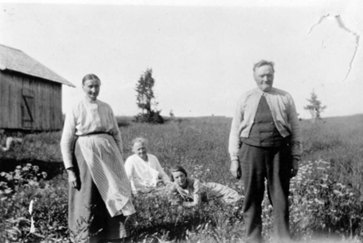 Fra venstre er Olave Brenden, ukjent, ukjent, Ludvik Brenden, på Tveiter gård sin seter på Stenstilen, Ringsakerfjellett.