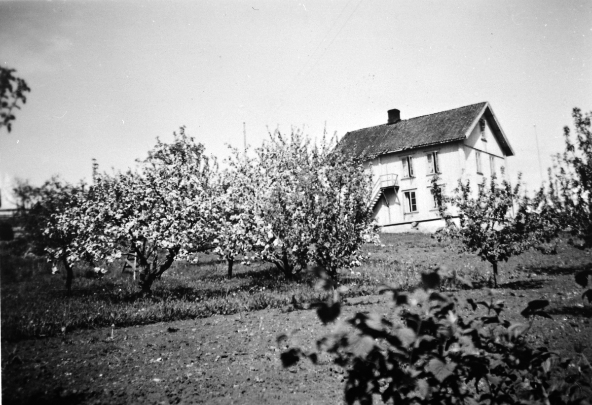 Hovedbygning og hage, Gårum gård, pleiehjem, Nes, Hedmark. 1946.
