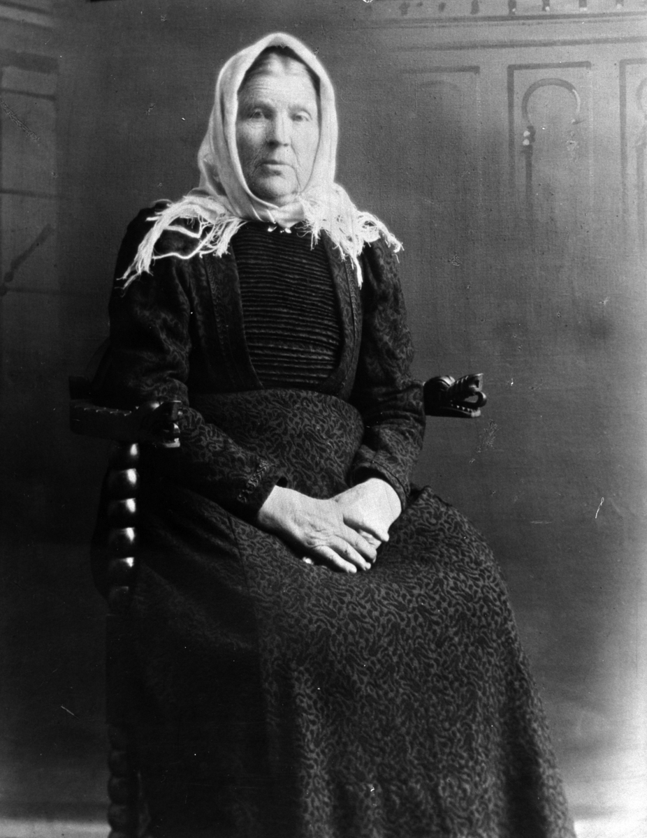 HELENE NYSTUEN 1832-1919